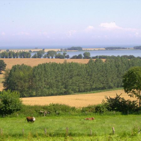 Ferienwohnungen Und Ferienhaus Im Nixenweg 霍瓦赫特 外观 照片