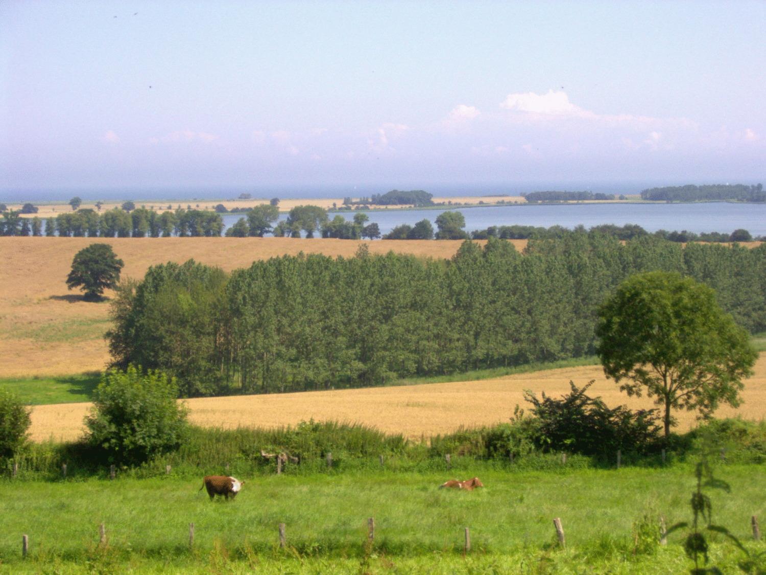 Ferienwohnungen Und Ferienhaus Im Nixenweg 霍瓦赫特 外观 照片